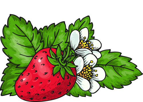 Grafik Erdbeeren